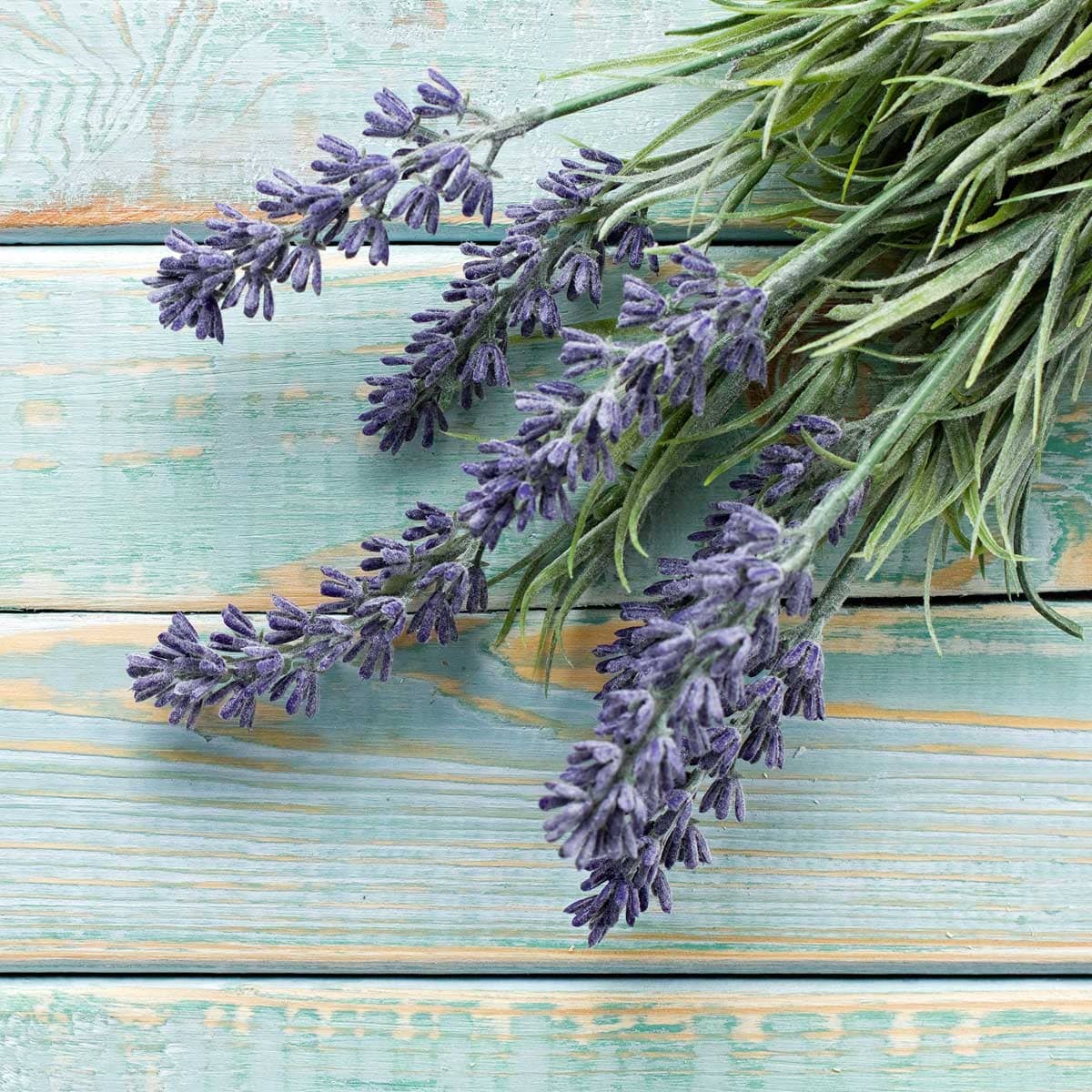 Lavender flowers on wood planks painted pale blue.